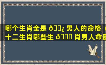 哪个生肖全是 🌿 男人的命格（十二生肖哪些生 🐅 肖男人命最好）